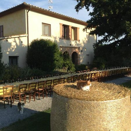 Agriturismo Giuncola & Granaiolo Rispescia Dış mekan fotoğraf