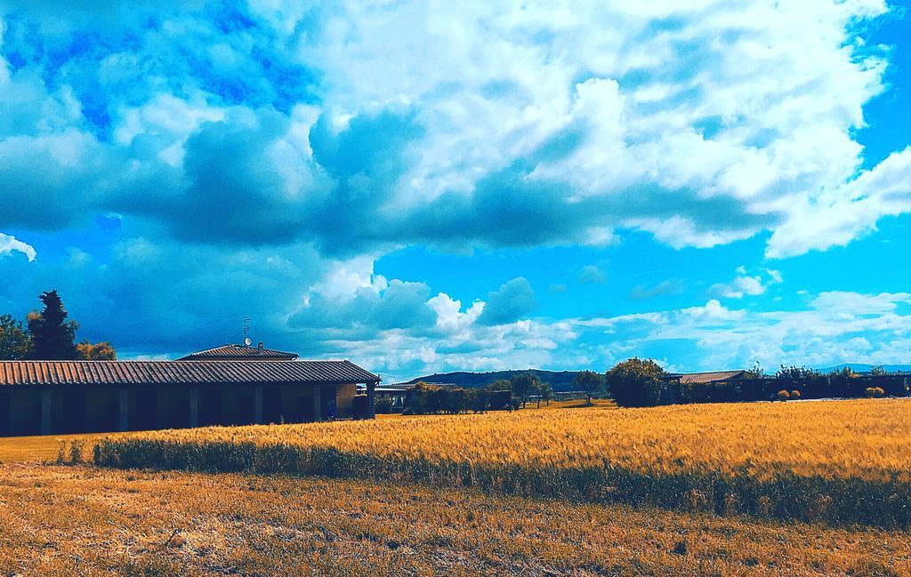 Agriturismo Giuncola & Granaiolo Rispescia Dış mekan fotoğraf