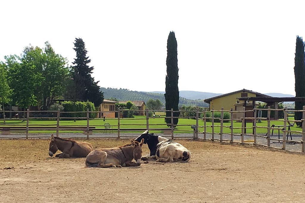Agriturismo Giuncola & Granaiolo Rispescia Dış mekan fotoğraf