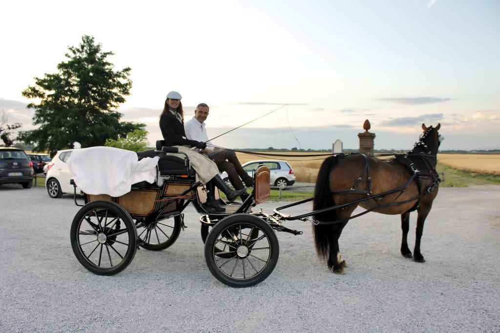 Agriturismo Giuncola & Granaiolo Rispescia Dış mekan fotoğraf
