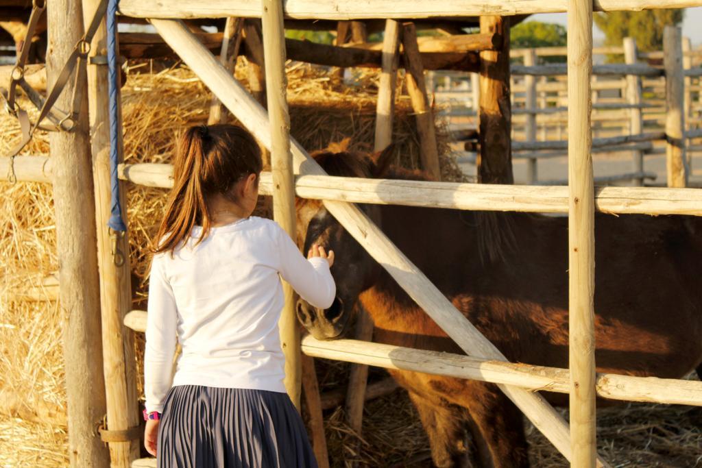 Agriturismo Giuncola & Granaiolo Rispescia Dış mekan fotoğraf
