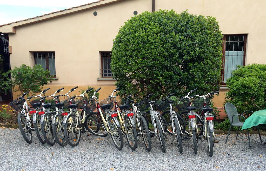 Agriturismo Giuncola & Granaiolo Rispescia Dış mekan fotoğraf