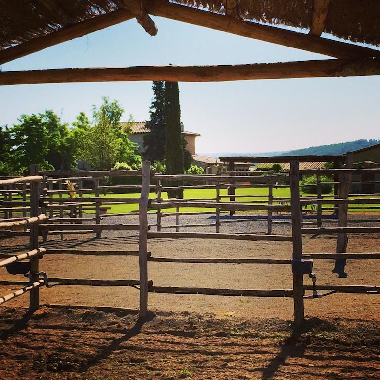 Agriturismo Giuncola & Granaiolo Rispescia Dış mekan fotoğraf